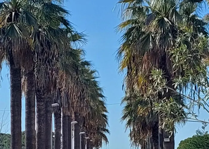 на пляже с видом на море